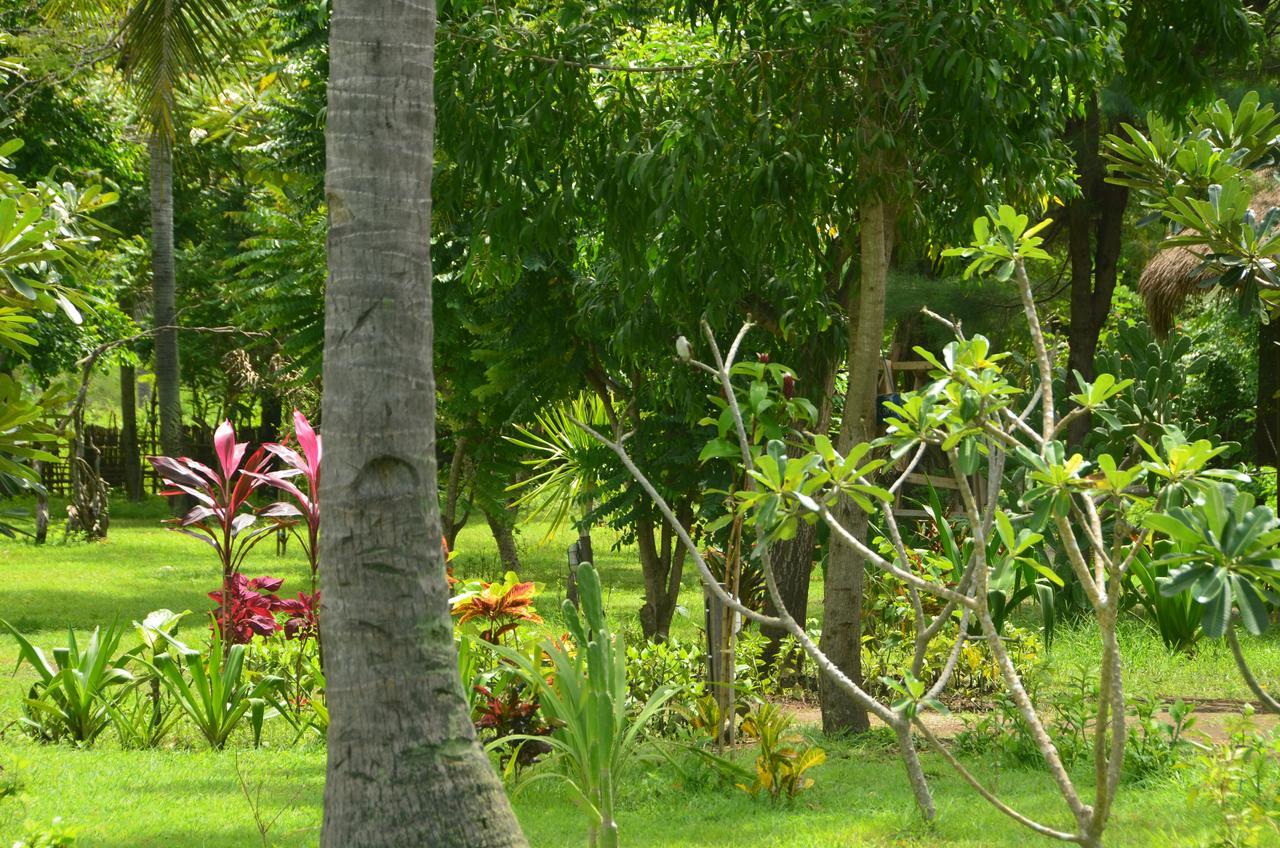 Amigos Bungalows Gili Meno Exterior photo