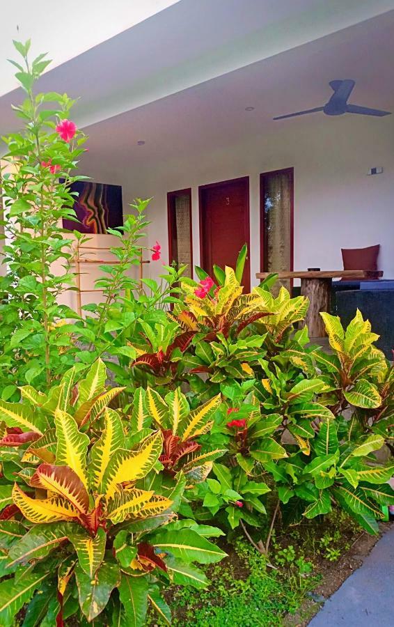 Amigos Bungalows Gili Meno Exterior photo